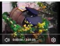 Feuerwehrfest FFW Ebersbach 1995 (ORV - VHS)